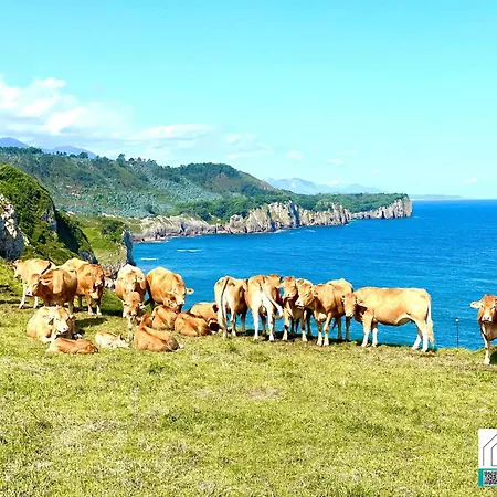 Апартаменты Aventuras